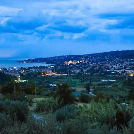 شقة Apartma Med Oljkami Spodnji بورتوروز