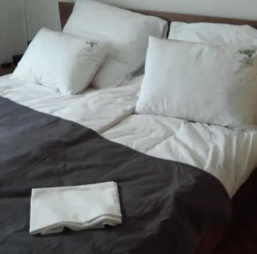 Apartma Med Oljkami Spodnji Lejlighed Portorož