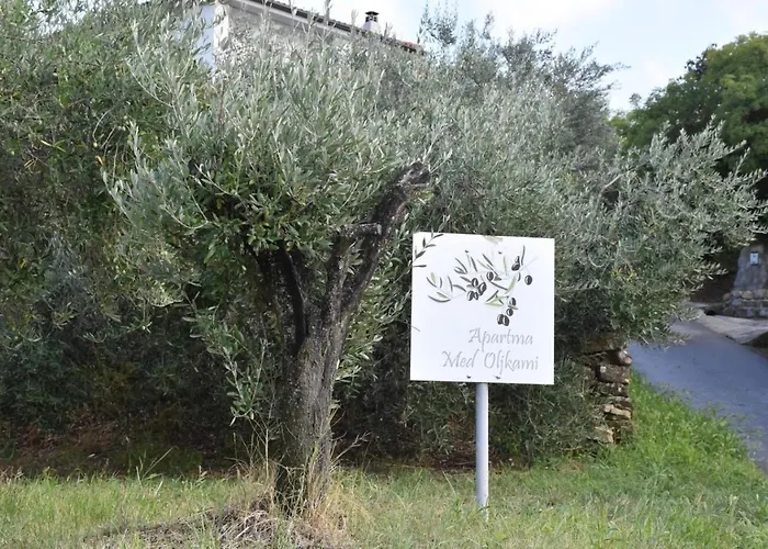 Apartma Med Oljkami Spodnji Lejlighed *