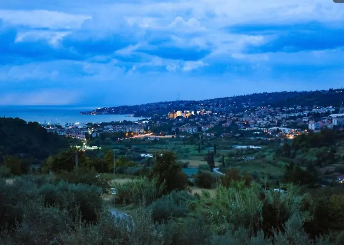 Lejlighed Apartma Med Oljkami Spodnji Portorož