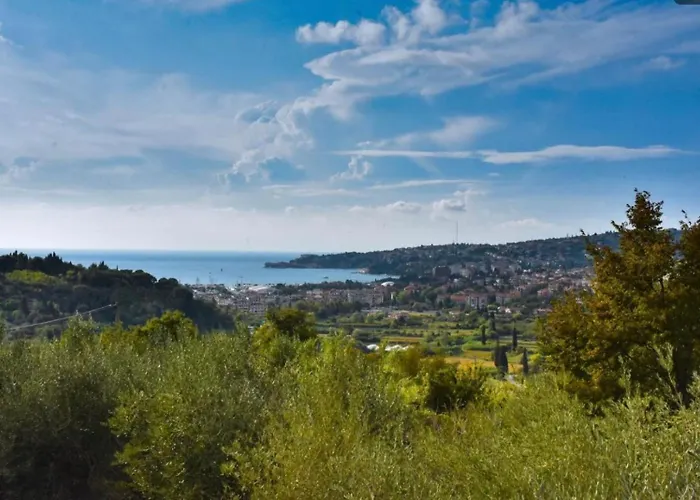 Apartma Med Oljkami Spodnji Lejlighed